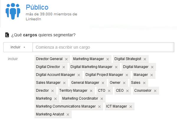 Segmentación en LinkedIn