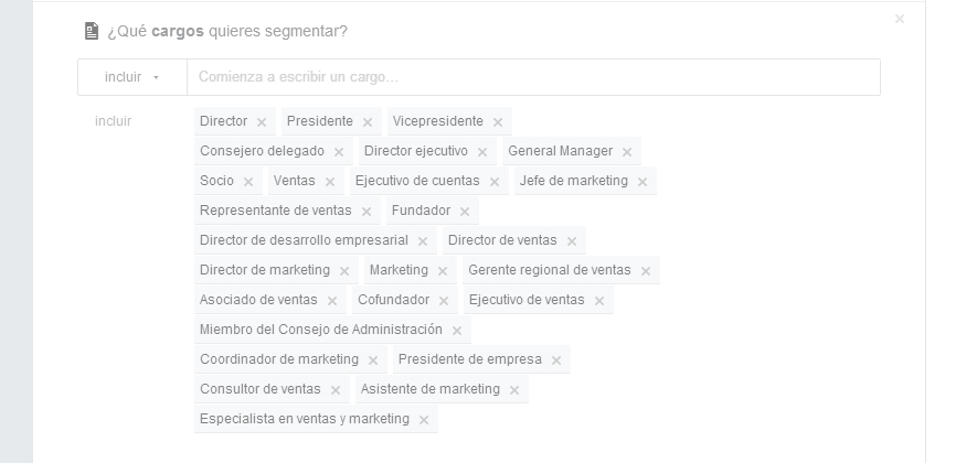 ejemplo sementacion audienca linkedin